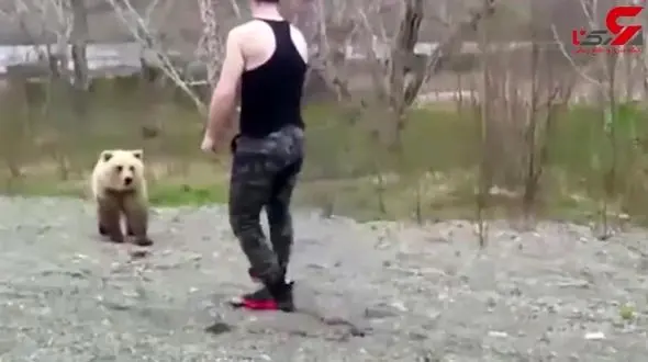 لحظه حمله وحشتناک خرس قهوه ای به مرد مزاحم + فیلم