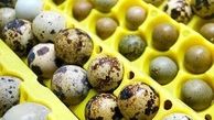 کسب درآمد ماهانه ۶ میلیون تومان با فروش تخم بلدرچین