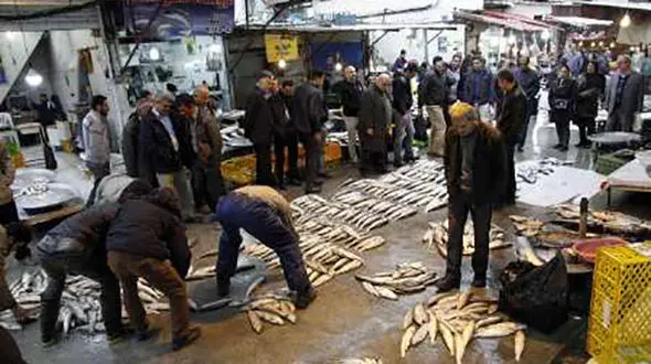 قیمت انواع ماهی های پرورشی در بازار 