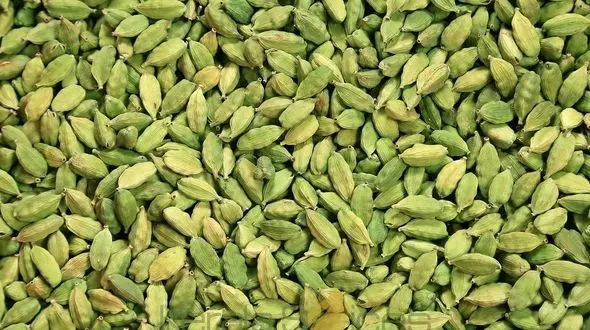 بهترین هضم‌کننده‌های غذا چیست؟