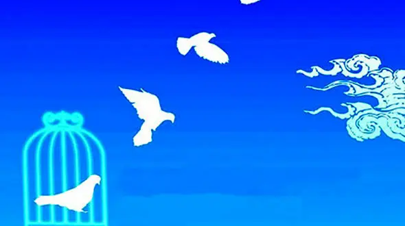 جزییات عفو و تخفیف مجازات محکومان به مناسبت میلاد پیامبر اعظم (ص)