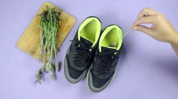 سریع ترین نسخه خانگی برای رفع بوی بد کفش و کتانی