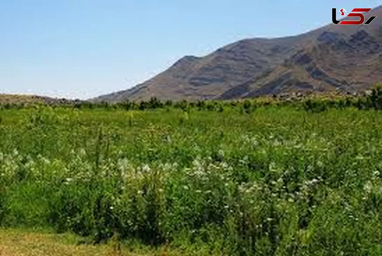  علت اختلاف دمایی زیاد بین شب و روز در دشت‌ها