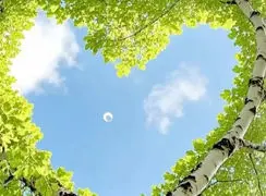 فال ابجد 10 آذر