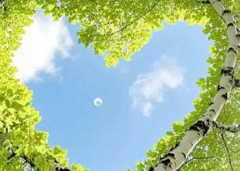 فال ابجد 10 آذر