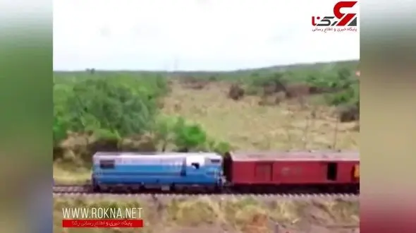 گله فیل‌ها قطار را از ریل خارج کرد + فیلم 