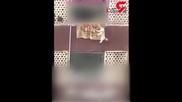 فیلم سگ آزاری یک زن تهرانی در  اتوبان بابایی تهران 