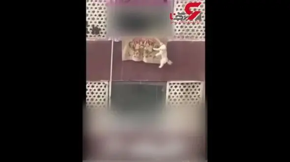 فیلم سگ آزاری یک زن تهرانی در  اتوبان بابایی تهران 