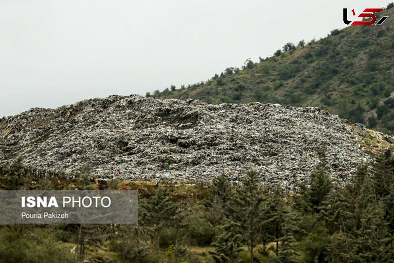 تکان‌دهنده / کوه زباله در دل جنگل‌های مازندران+عکس
