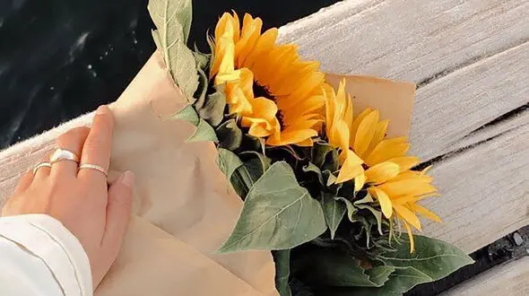 فال و طالع بینی امروز 23 مرداد + فیلم 
