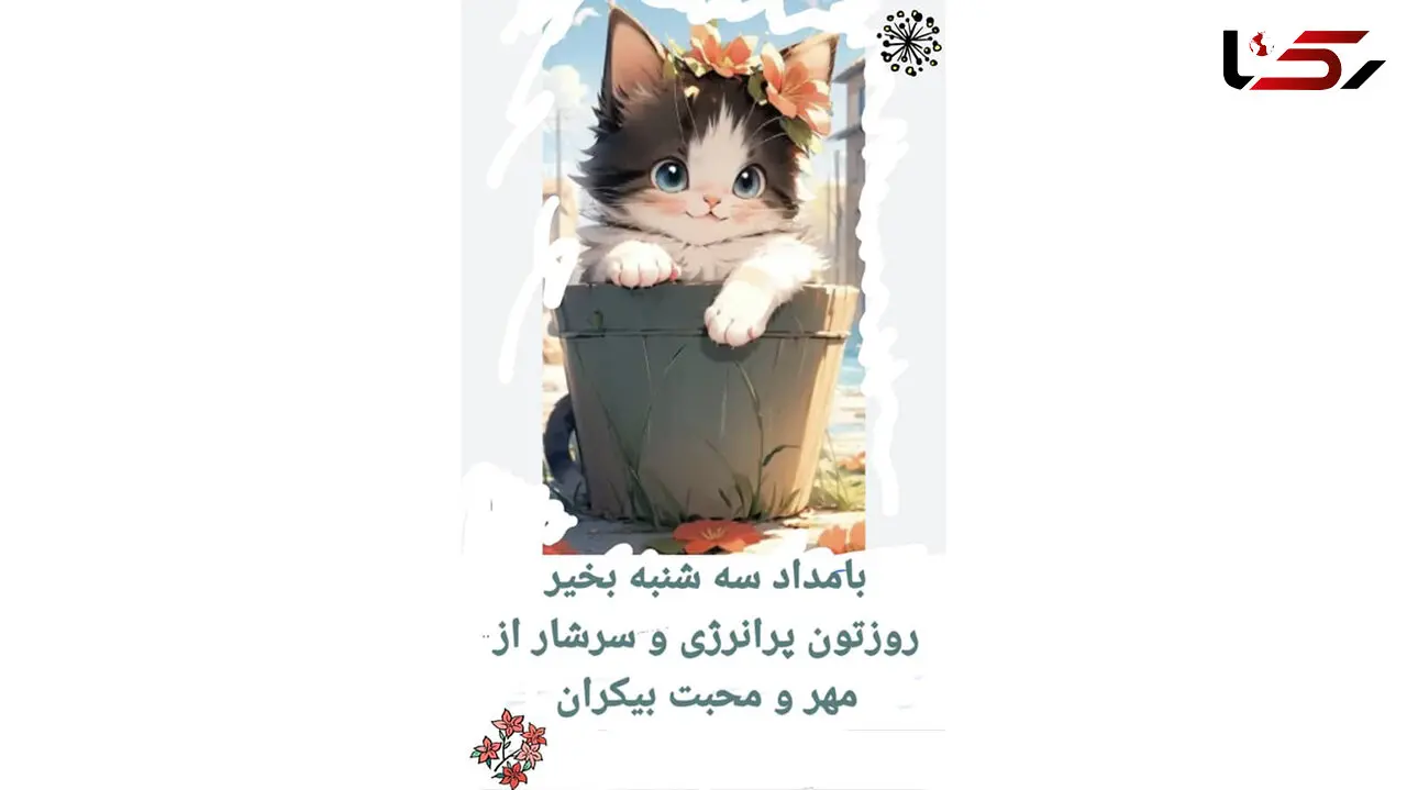 فال نمک + فیلم