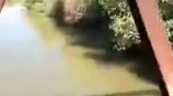  آب به هورالعظیم رسید