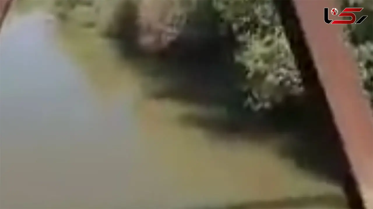  آب به هورالعظیم رسید