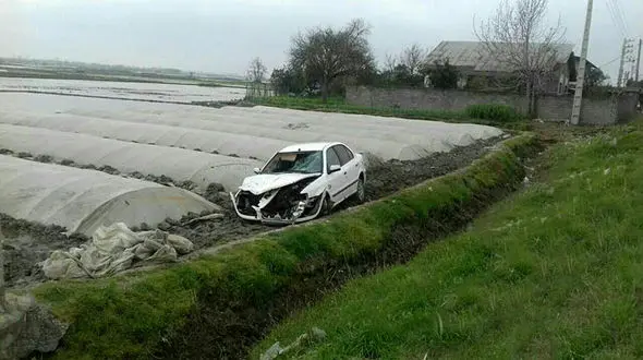 مرگ دلخراش کشاورز در شالیزار جاده آمل - فریدونکنار
