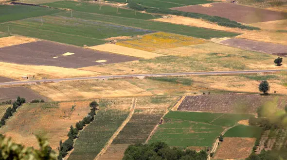 ورود شورای شهر به ماجرای واگذاری زمین ۳۰ هزار متری توسط شهرداری تهران