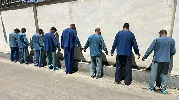 بازداشت سارقان حرفه ای در ملایر