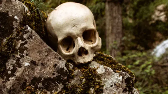 این اشخاص سر دشمنانشان را قطع و جمجمه هایشان را به نمایش درآوردند + تصاویر