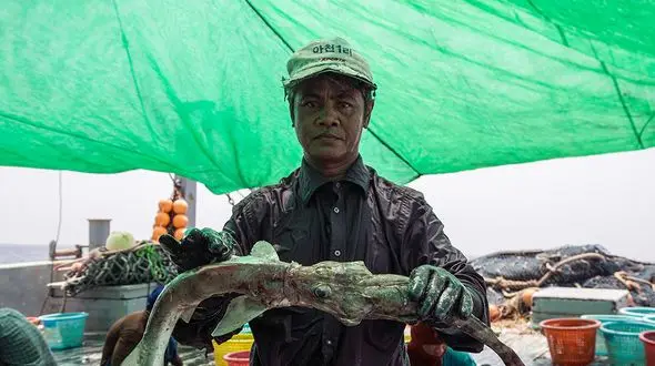 پشت پرده خارجی‌ها در دریای خلیج فارس/ چینی‌ها در آب‌های ایران چه می‌کنند؟+تصاویر 