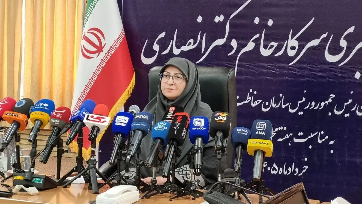 خبرنگار از رئیس سازمان محیط زیست پرسید؛ اساسا سهم سازمان در نجات تالاب‌ها و یوزپلنگ و متوقف کردن فرونشست چیست + پاسخ شینا انصاری
