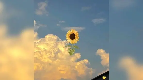 فال و طالع بینی روزانه 6 بهمن + فیلم 