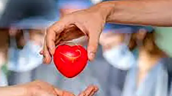 این زن یک شبه در مشهد معروف شد 