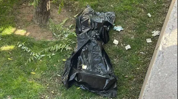 کشف جسد مرد جوان در پارک بنفشه کرج + جزییات