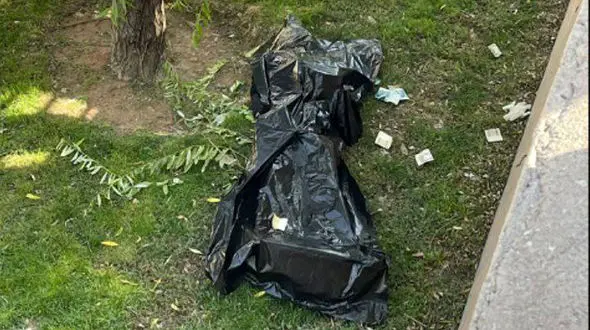 کشف جسد مرد جوان در پارک بنفشه کرج + جزییات