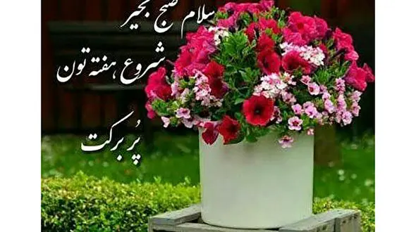 فال ابجد امروز / 31 تیر + فیلم