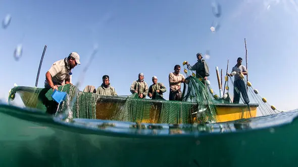 شناورهای سبک و صیادی به دریا نروند