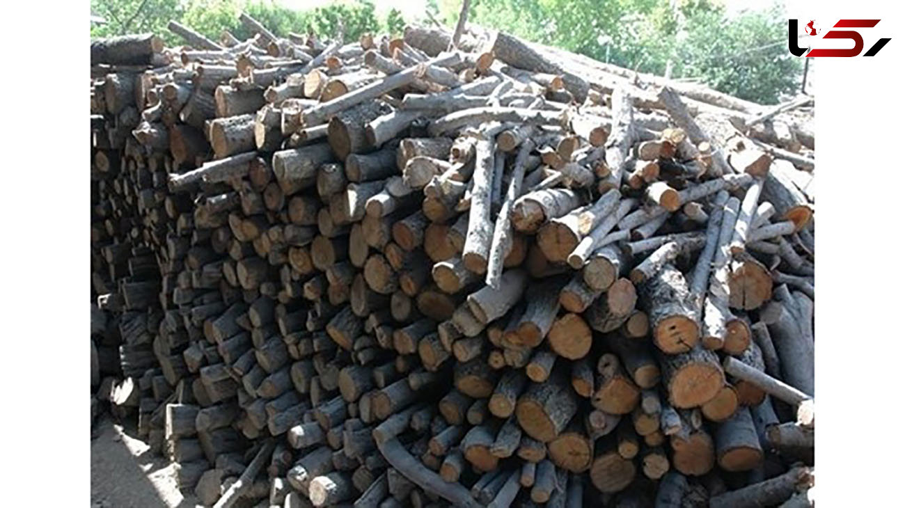 کشف 73 هزار کیلوگرم چوب و زغال قاچاق در چهارمحال و بختیاری