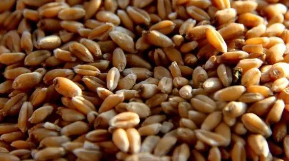 گرد شدن گونه ها به روش های ساده 