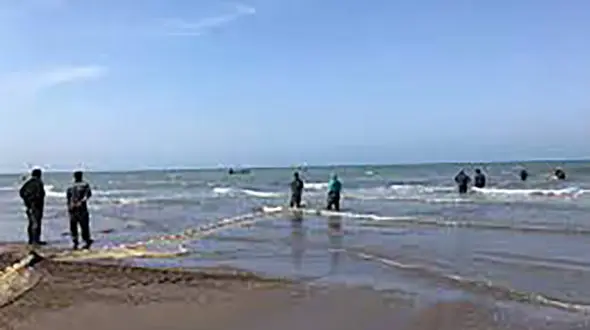 مرگ تلخ دانشجوی مشهدی در برابر چشمان پدر و مادرش