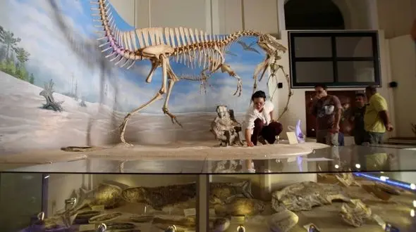  دایناسور کرمانی در آتش‌‌سوزی موزه برزیل نابود شد!