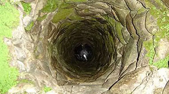 12 توله سگ از ته چاه نجات یافتند / در مهاباد رخ داد 