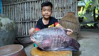 فیلم/ مهارت عجیب این کودک 6 ساله در پخت ماهی پلو 