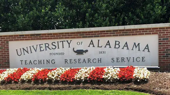 بازداشت دانشجوی ایرانی رشته متالوژی در آمریکا / علت چیست؟