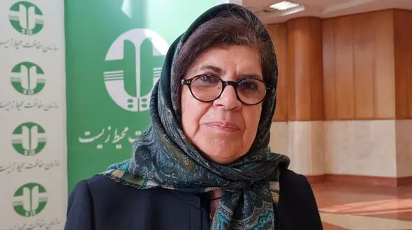  زباله‌سوز برای ایران پرهزینه است؛ روش پیشنهادی من 20 برابر ارزان‌تر خواهدبود / طرحی داشتم که دفن زباله تهران را به زیر 5 درصد ببرند ولی شهرداری آن را عملیاتی نکرد  + فیلم