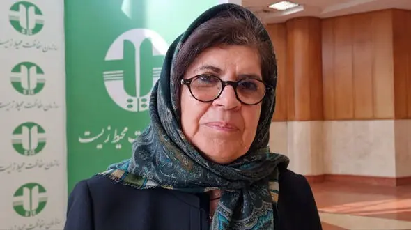  زباله‌سوز برای ایران پرهزینه است؛ روش پیشنهادی من 20 برابر ارزان‌تر خواهدبود / طرحی داشتم که دفن زباله تهران را به زیر 5 درصد ببرند ولی شهرداری آن را عملیاتی نکرد  + فیلم