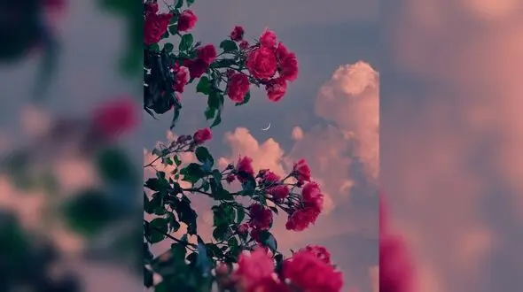 فال و طالع بینی روزانه 3 فروردین 1404 + فیلم 