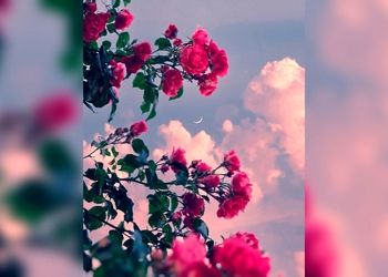 فال و طالع بینی روزانه 3 فروردین 1404 + فیلم 