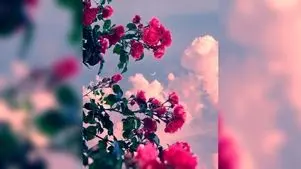 فال و طالع بینی امروز یکشنبه 17 اسفند 