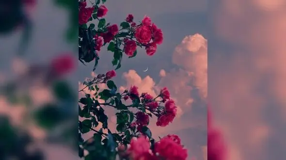 فال و طالع بینی امروز یکشنبه 17 اسفند 