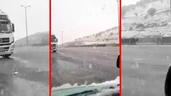 فیلم بارش برف شدید در گردنه بیدسرخ کنگاور