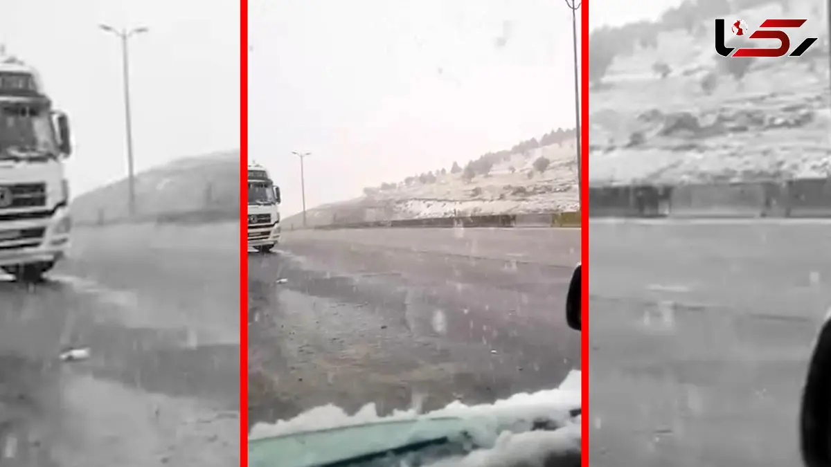 فیلم بارش برف شدید در گردنه بیدسرخ کنگاور