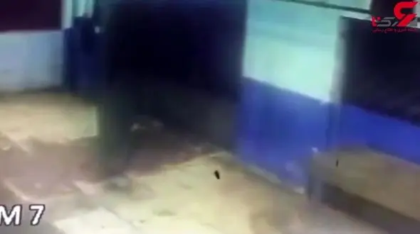 حمله وحشیانه اوباش برزیلی به یک مغازه دار را ببینید+ فیلم