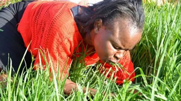 خوردن چمن برای دیدن عیسی مسیح! + فیلم