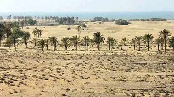 درخواست کاهش تعرفه برق تمام استان‌های گرمسیر