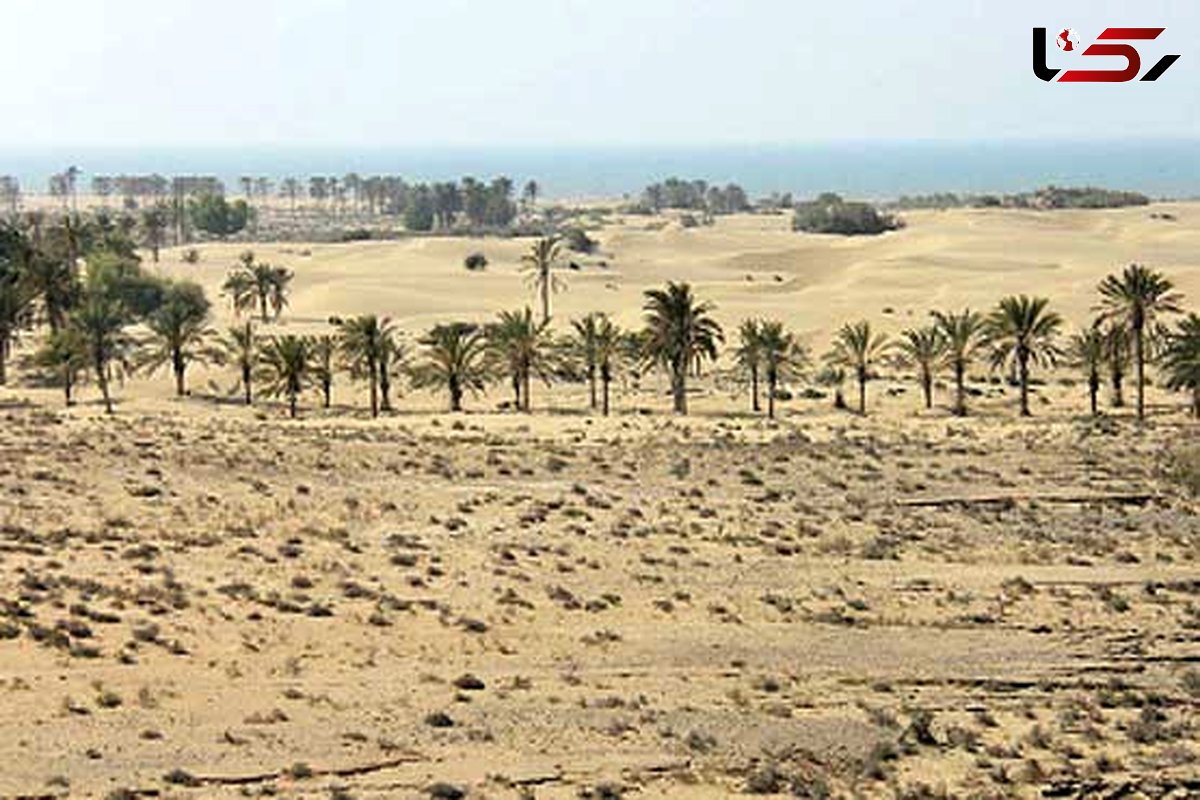 درخواست کاهش تعرفه برق تمام استانهای گرمسیر