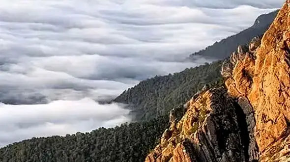 از جنگل ابر ها تا دشت لاله های واژگون