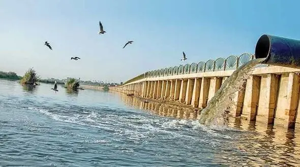 کارون  قتلگاه لاک‌پشت فراتی